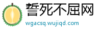 誓死不屈网